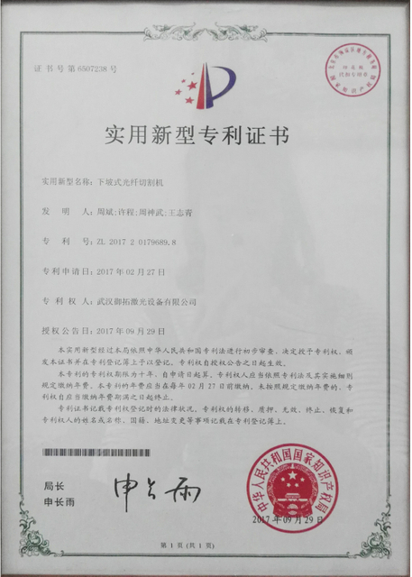 Patent Certificate 2