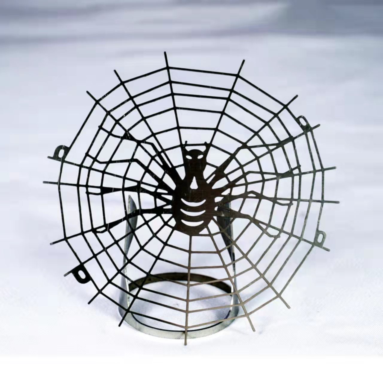 spider weaves web